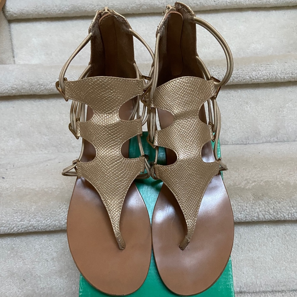 aldo gladiator sandals